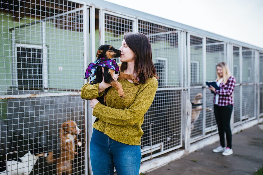 This image of a woman holding a dog in front of a kennel represents the happy faces and wagging tails that our kennel software helps to create. 