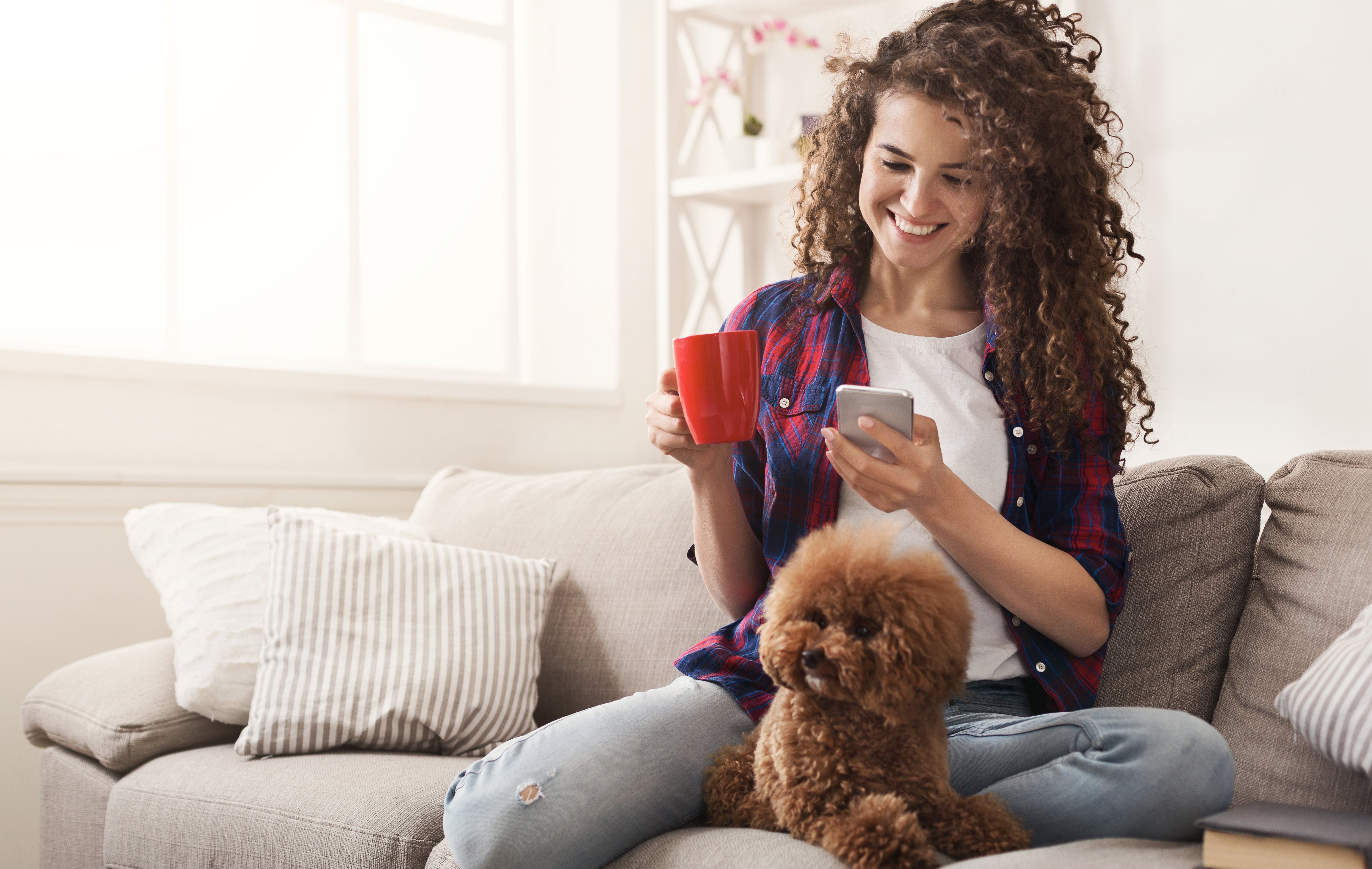 A woman scrolling on her phone with a dog in her lap, reading the automated email and SMS reminders from Gingr’s pet grooming software.