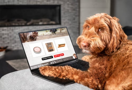 The Benefits of Email Marketing for Pet-Care Businesses 